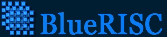 BlueRISC - Ironclad Hardware-Assisted End-Point Security